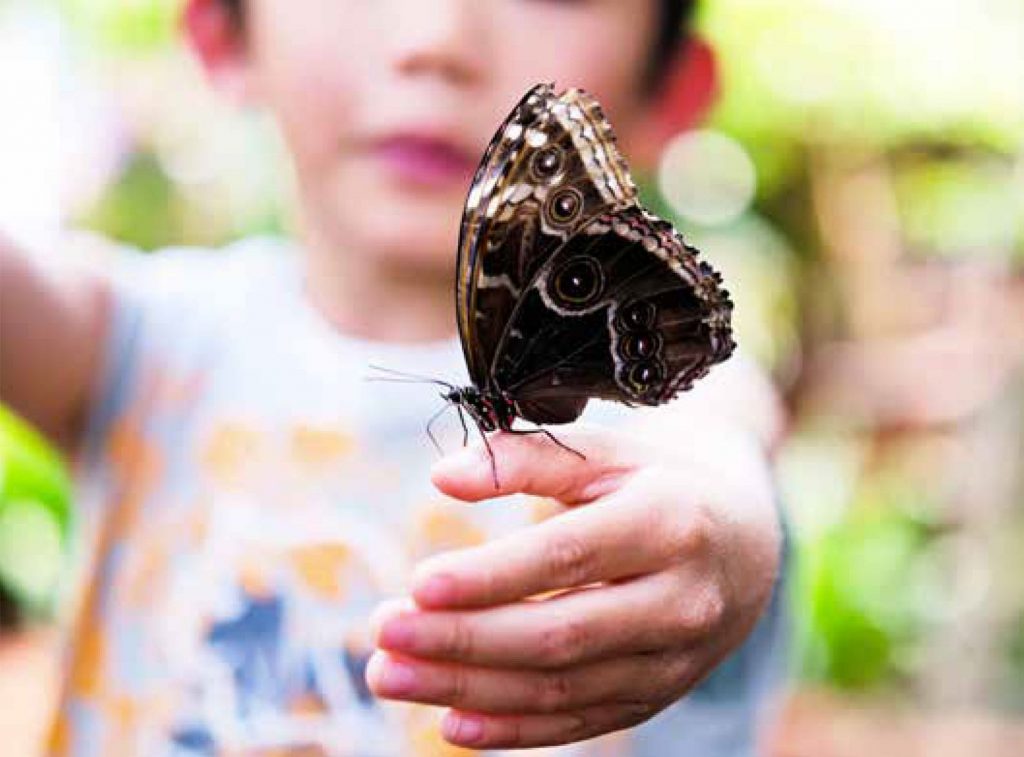 Creating STEM Environments with Loose Parts - Early Science Matters