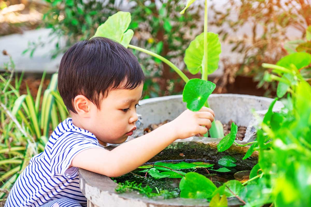 toddler in garden