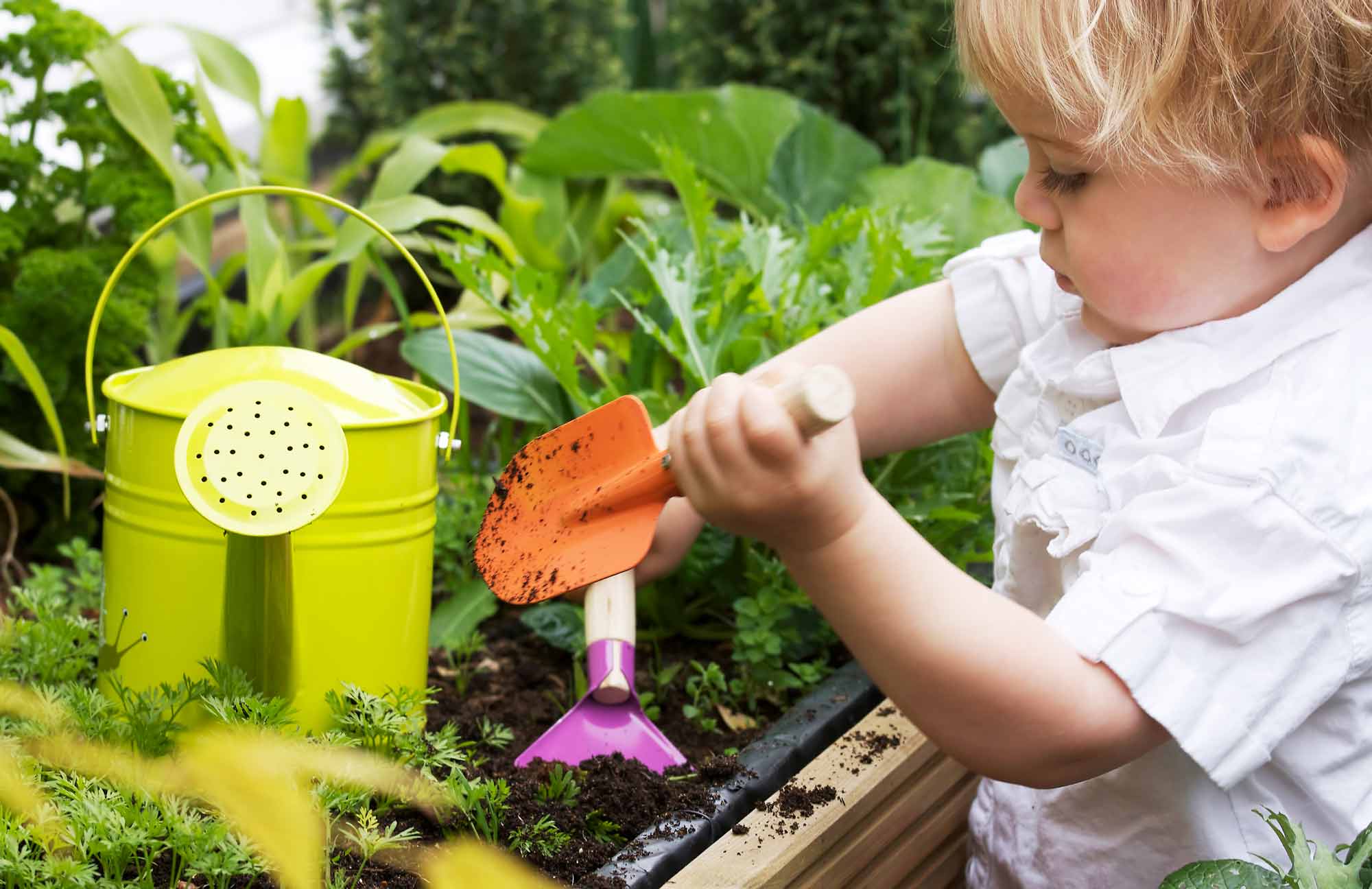 toddler planting