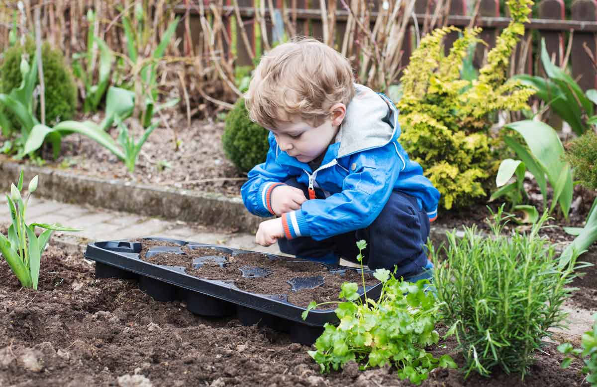 toddler planting