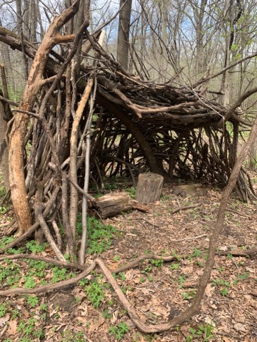 fort made of sticks and branches