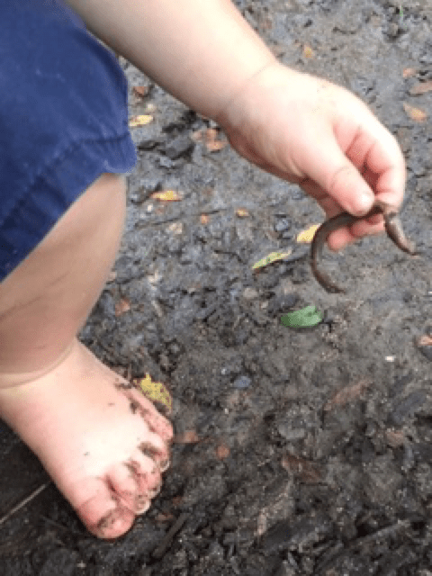 child holding worm