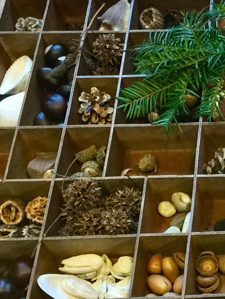 Creating STEM Environments with Loose Parts - Early Science Matters