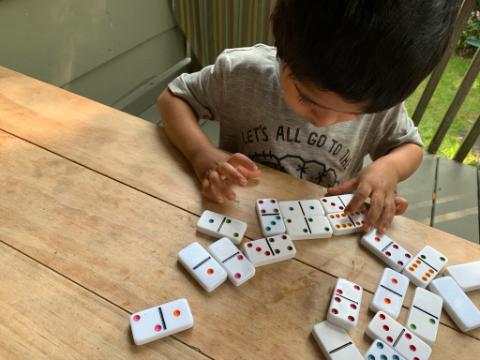 Play 2 Learn Dominoes on Bullywise Game Childswork/Childsplay — Childs Work  Childs Play